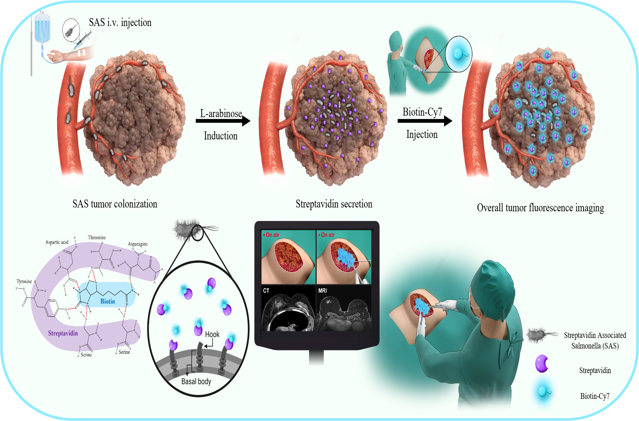Bioengineered therapeutic systems